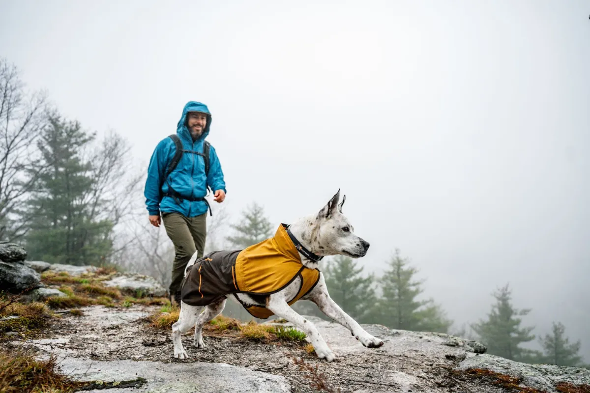 hiking gear for dogs