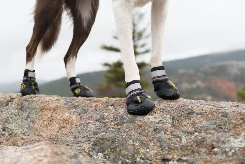 hiking gear for dogs