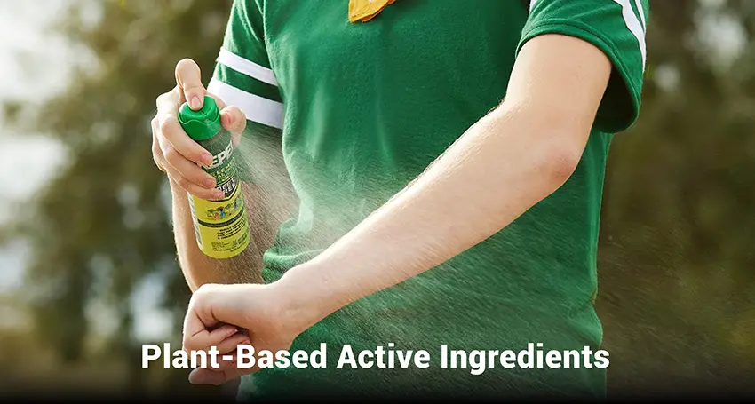 Understanding Active Ingredients