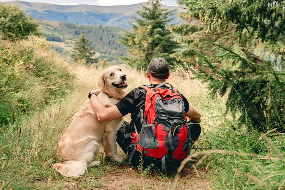 post-How To Hike With Your Dog: Essential Safety Tips