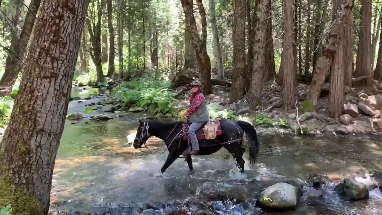 yosemite horseback riding