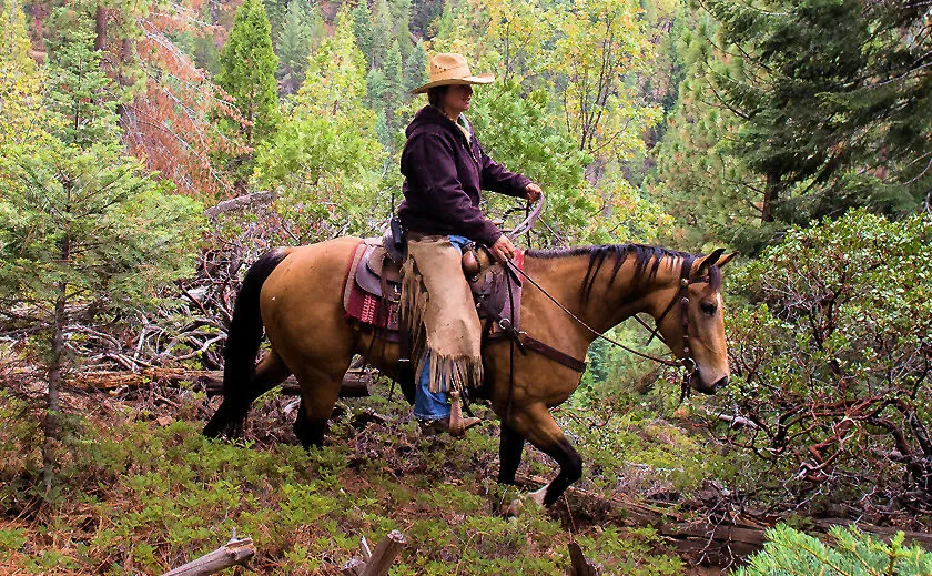yosemite horseback riding