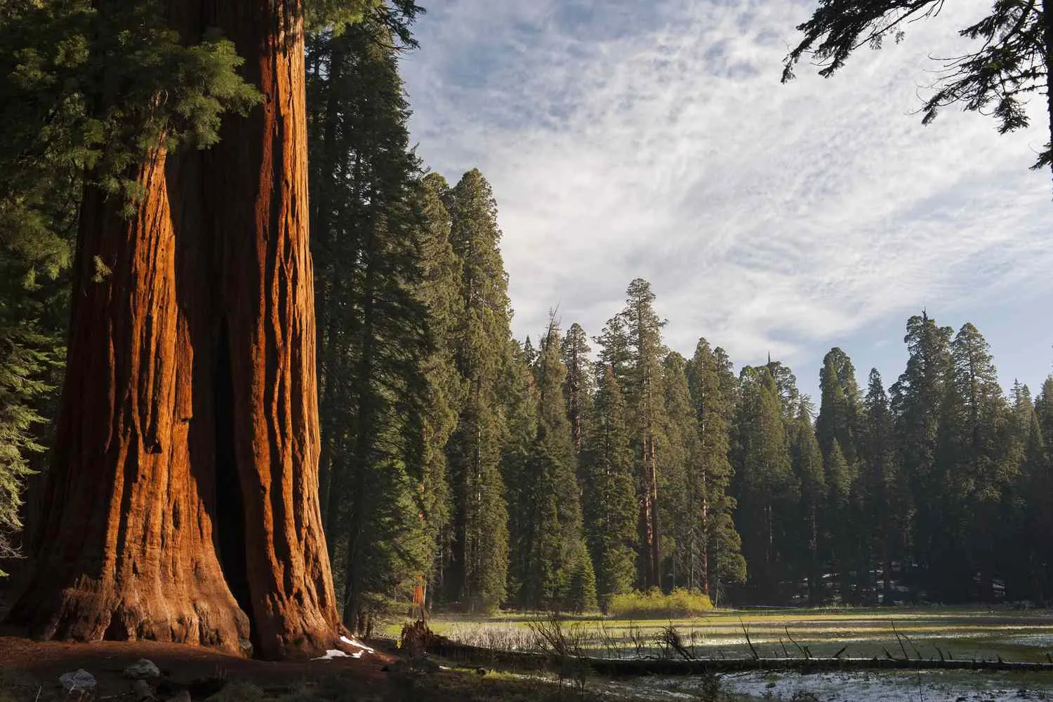 yosemite to sequoia national park