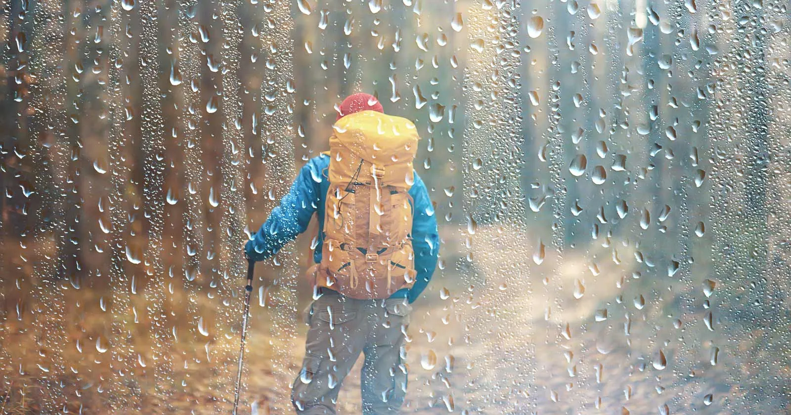 post-Rain Safety Tips for Hiking: Do You Know Them?