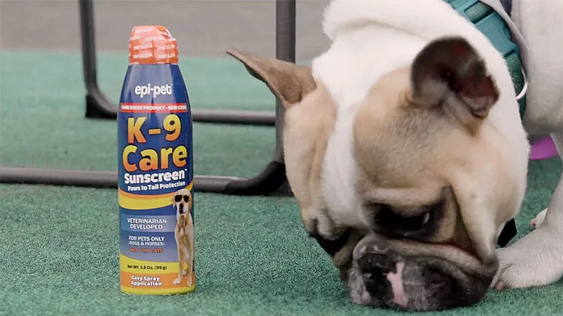 best dog sunscreen