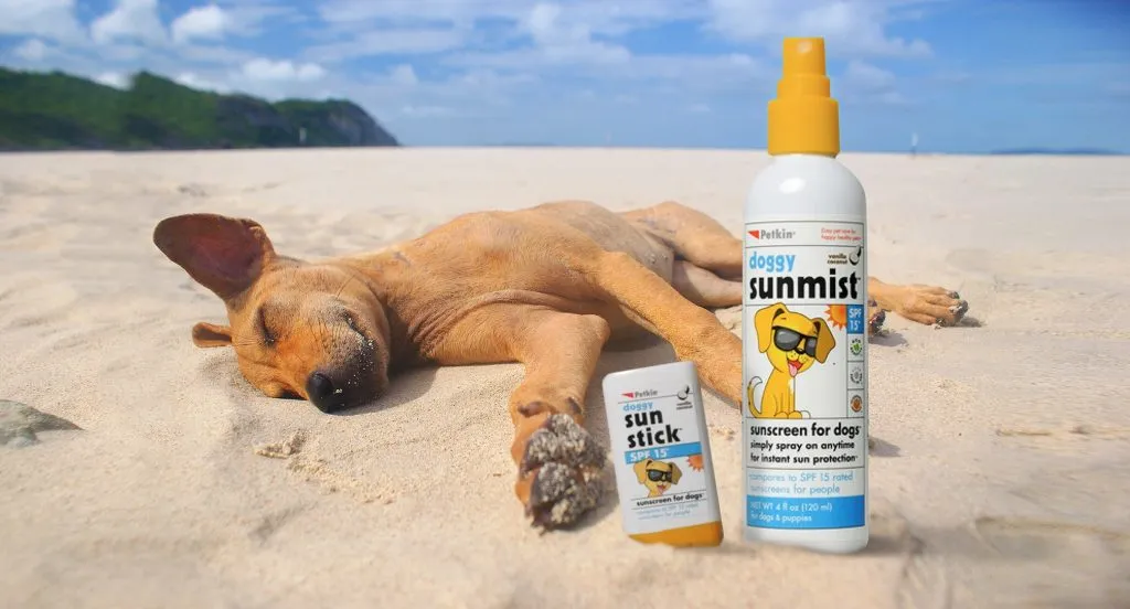 best dog sunscreen