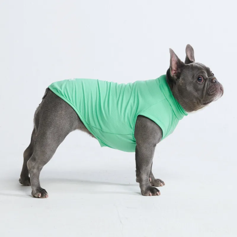 best dog sunscreen