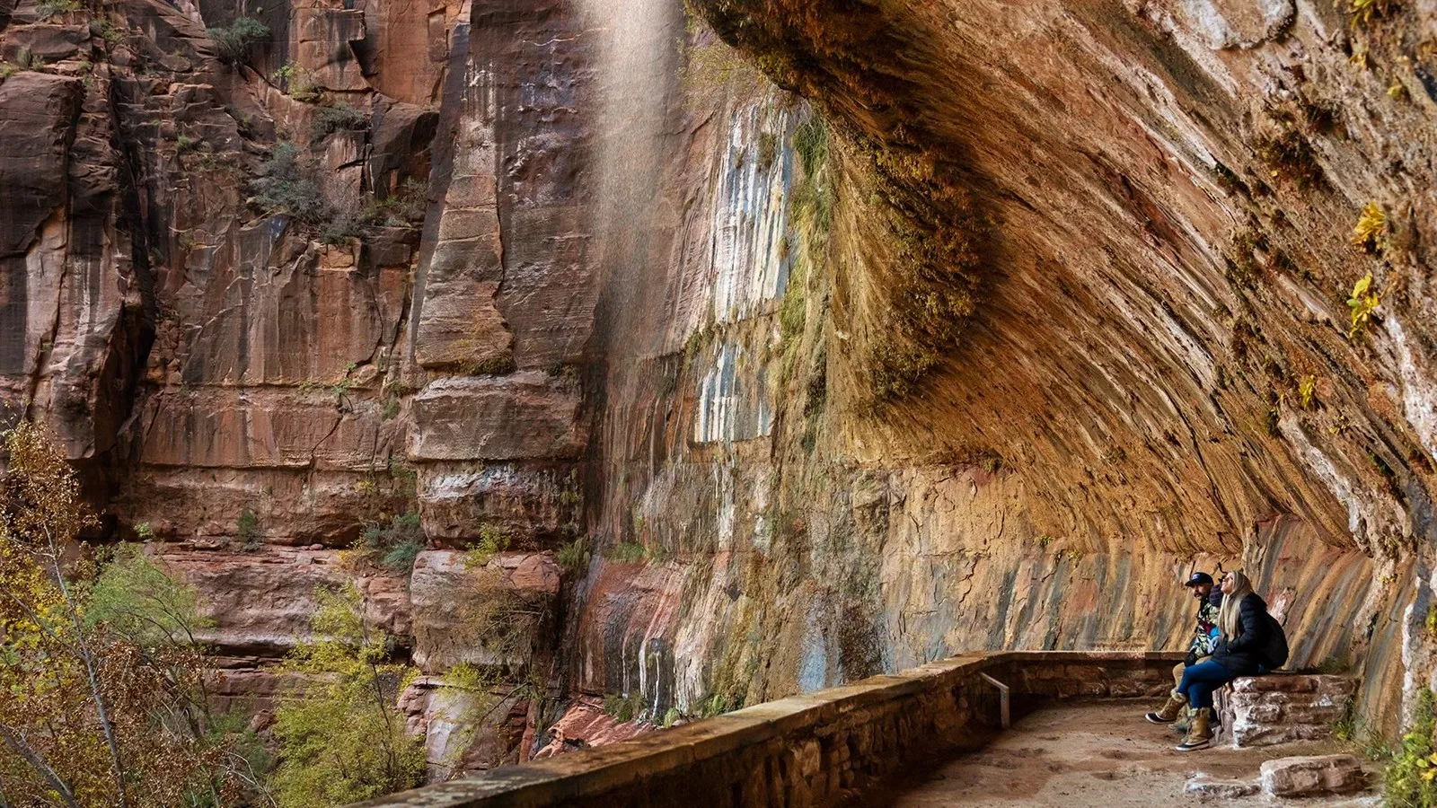 where is zion national park