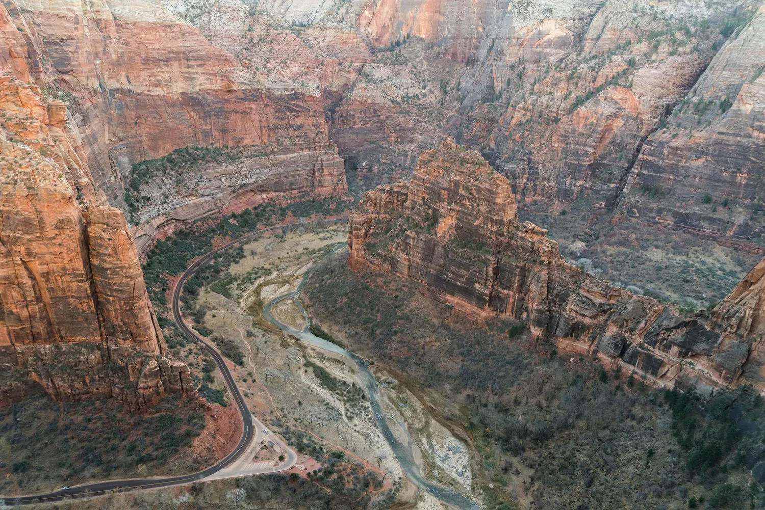 where is zion national park