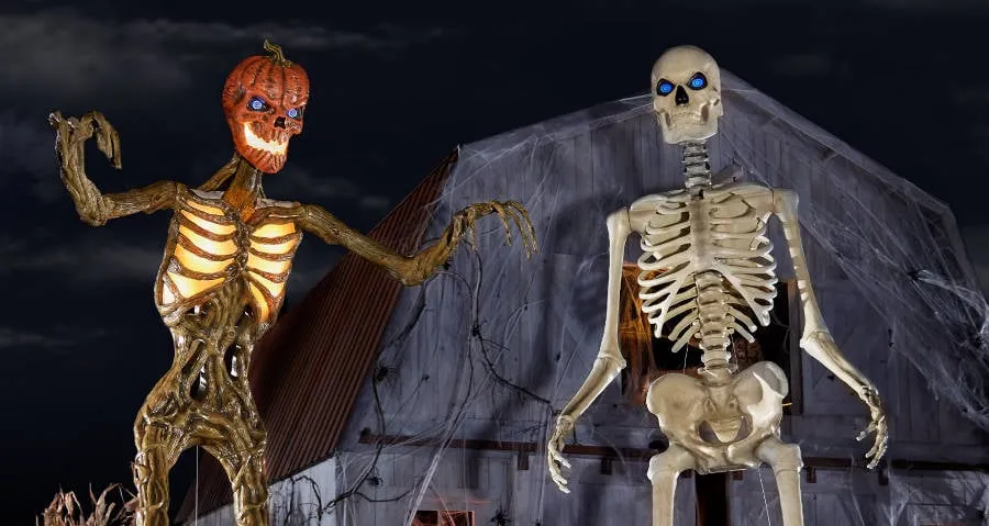 Skeleton Bone Hunt & Assembly