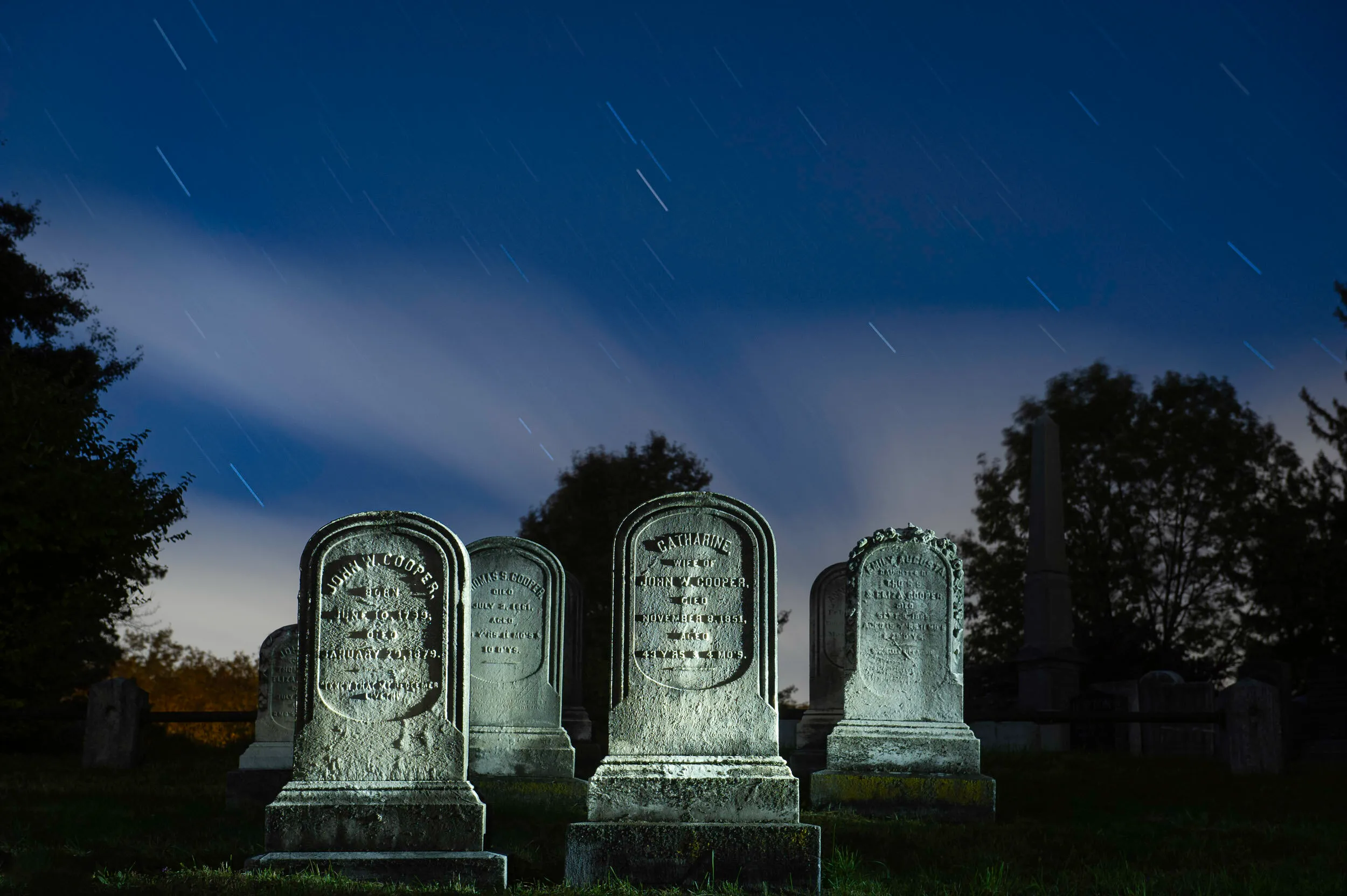 halloween yard decorations