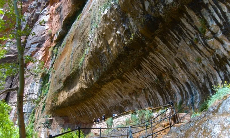 best hikes in zion national park