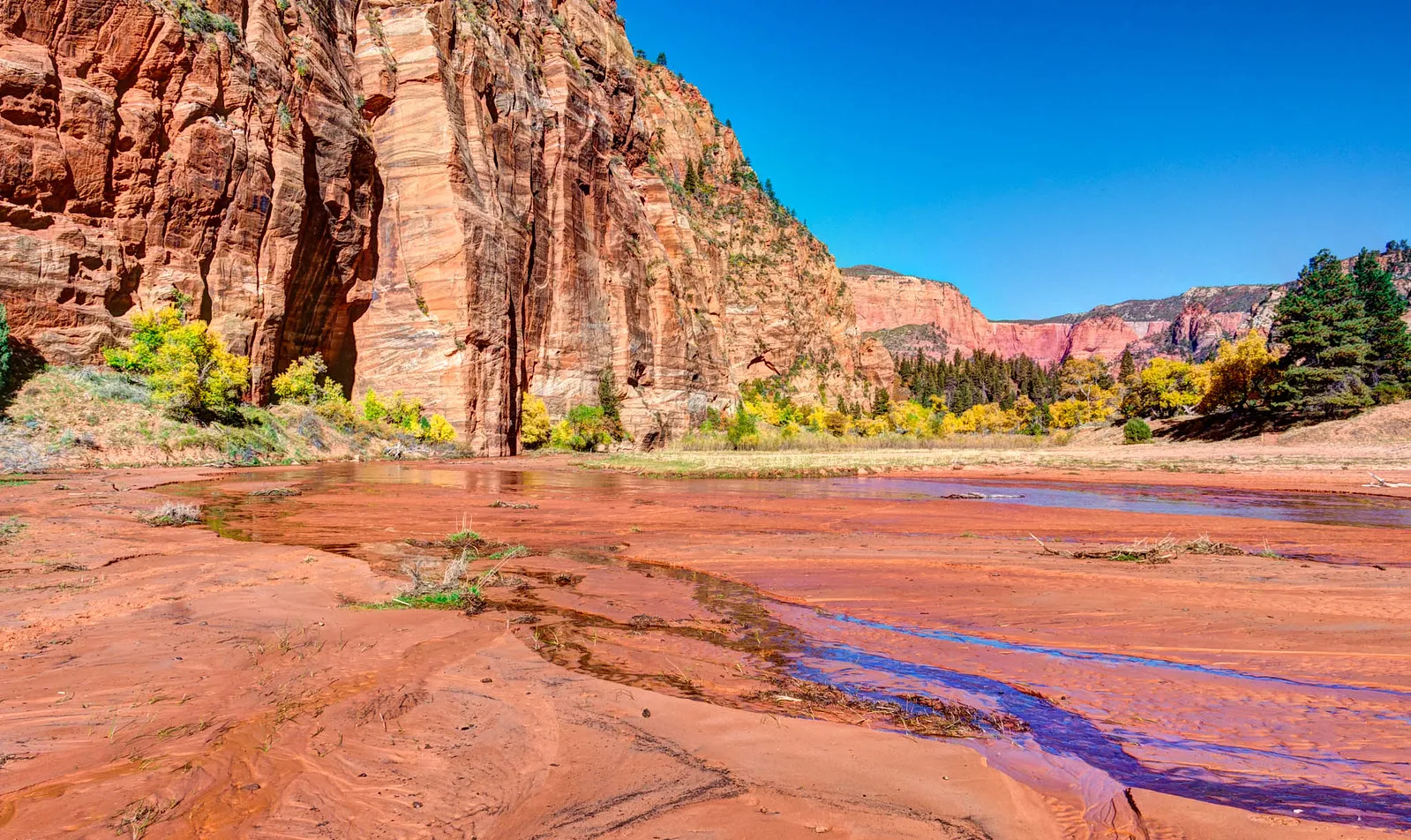 best hikes in zion national park