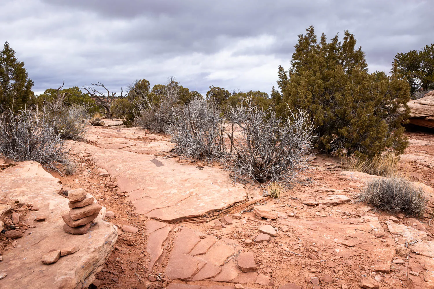 best hikes in zion national park