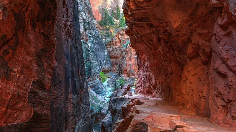 best hikes in zion national park