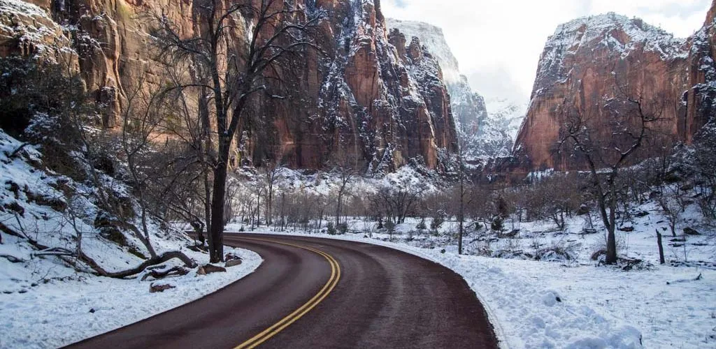 zion national park in november​