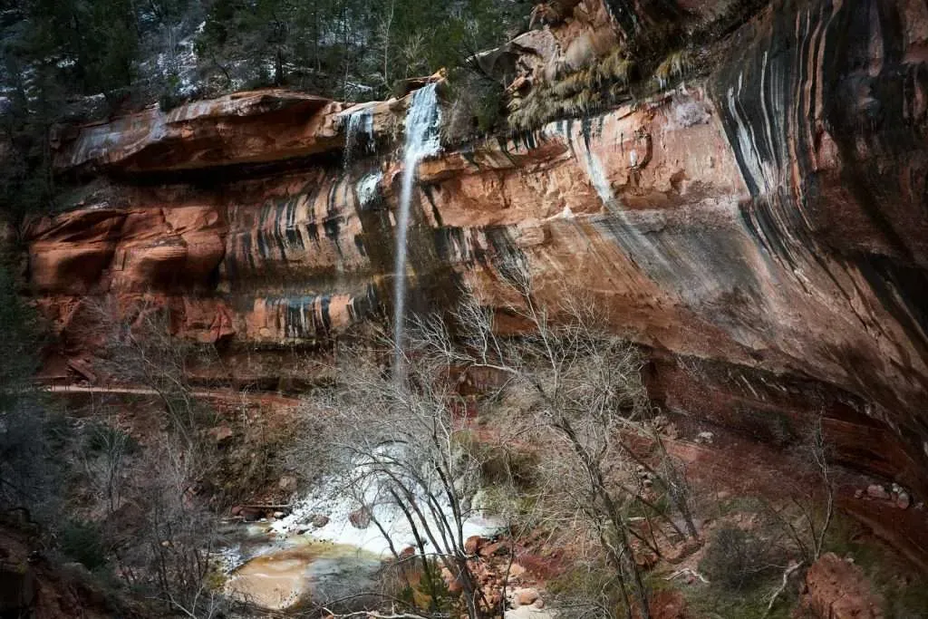 zion national park in november​