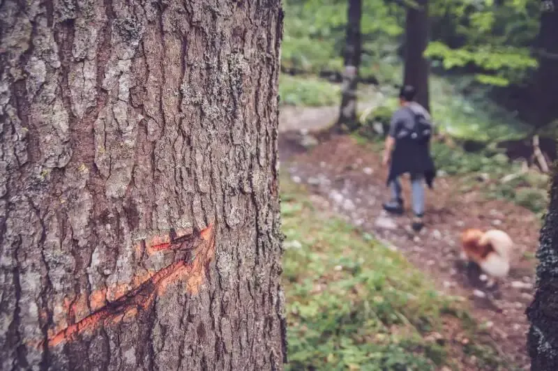 how to read hiking trail signs