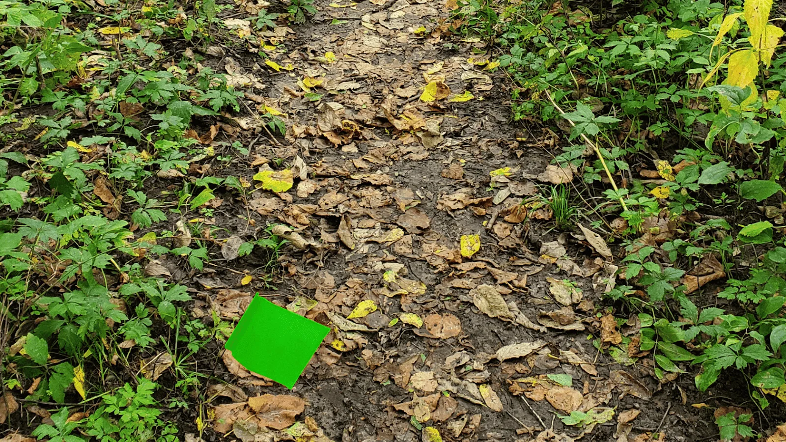 how to read hiking trail signs
