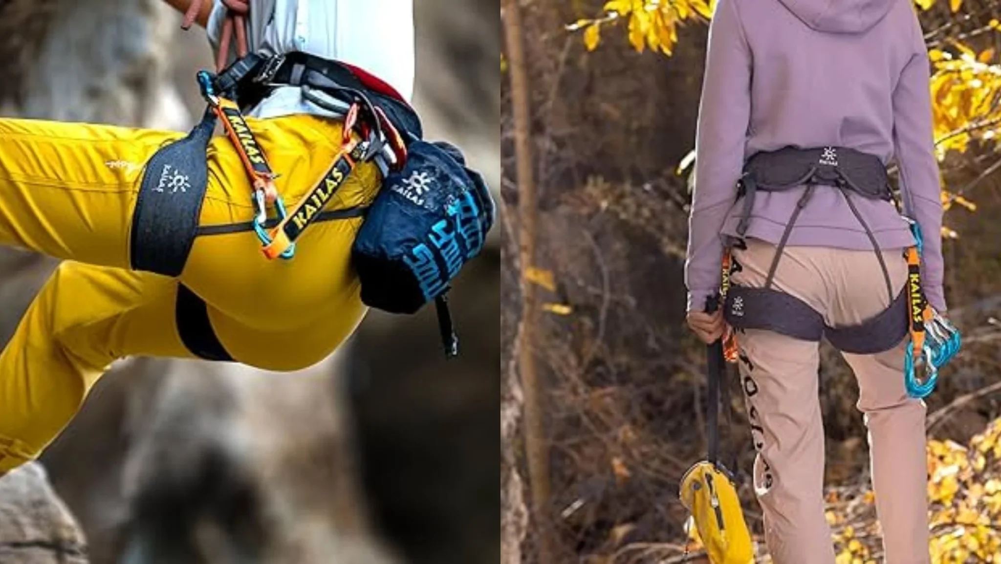 rock climbing harnesses