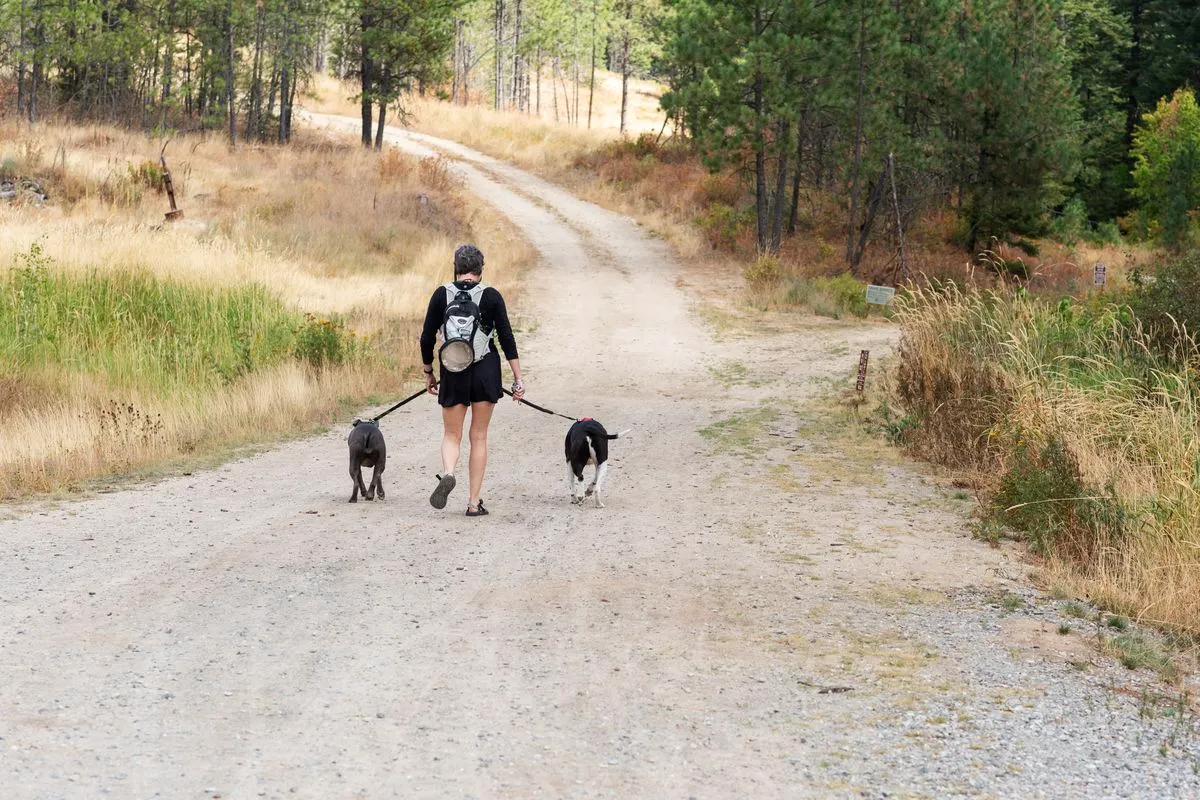 hiking alone safety tips