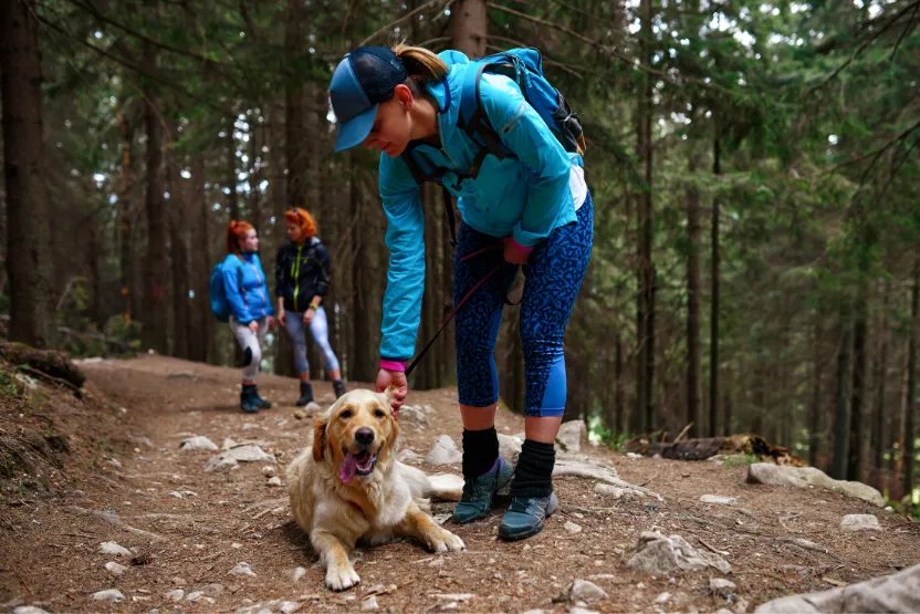 hiking with pets safety tips