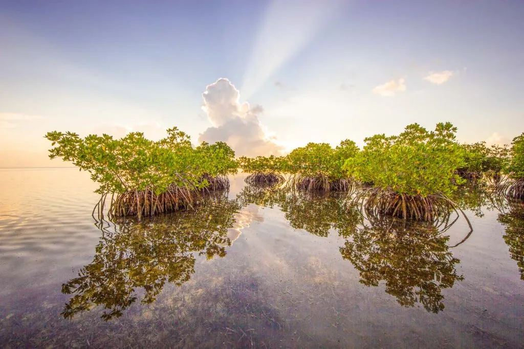 Weather in Biscayne National Park