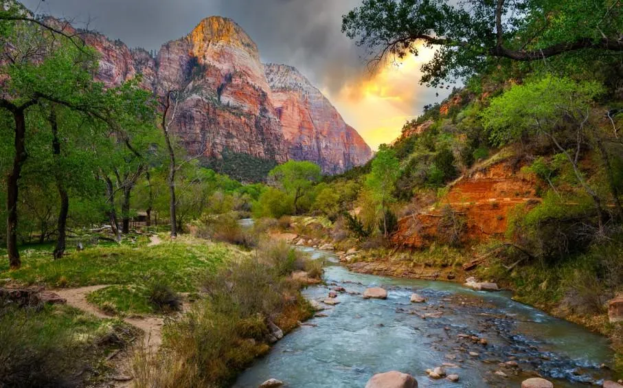things to do in zion national park​