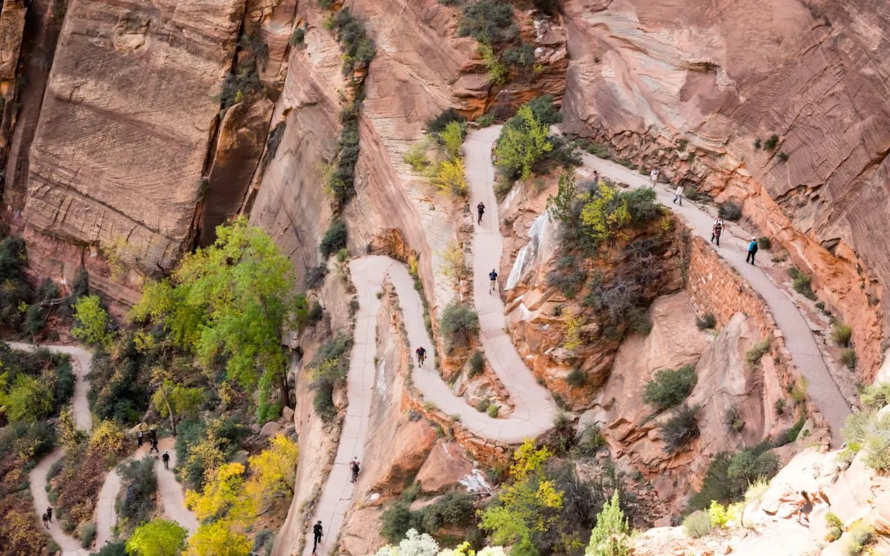 things to do in zion national park​
