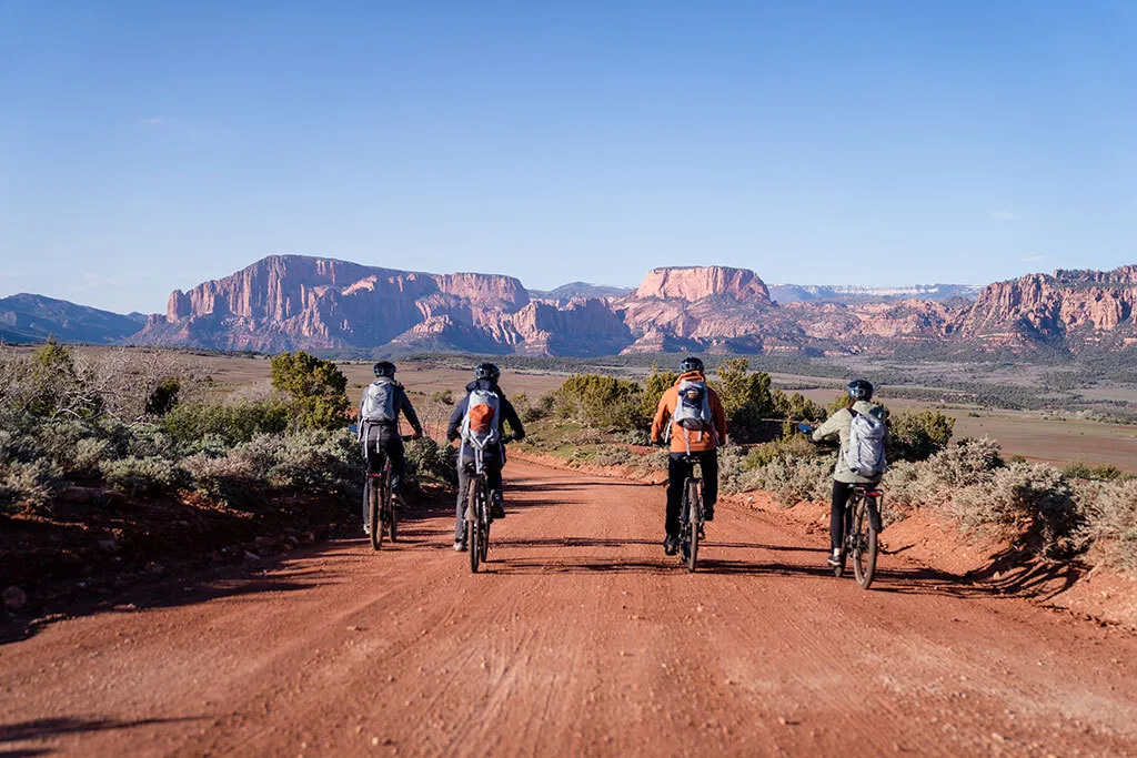 things to do in zion national park​