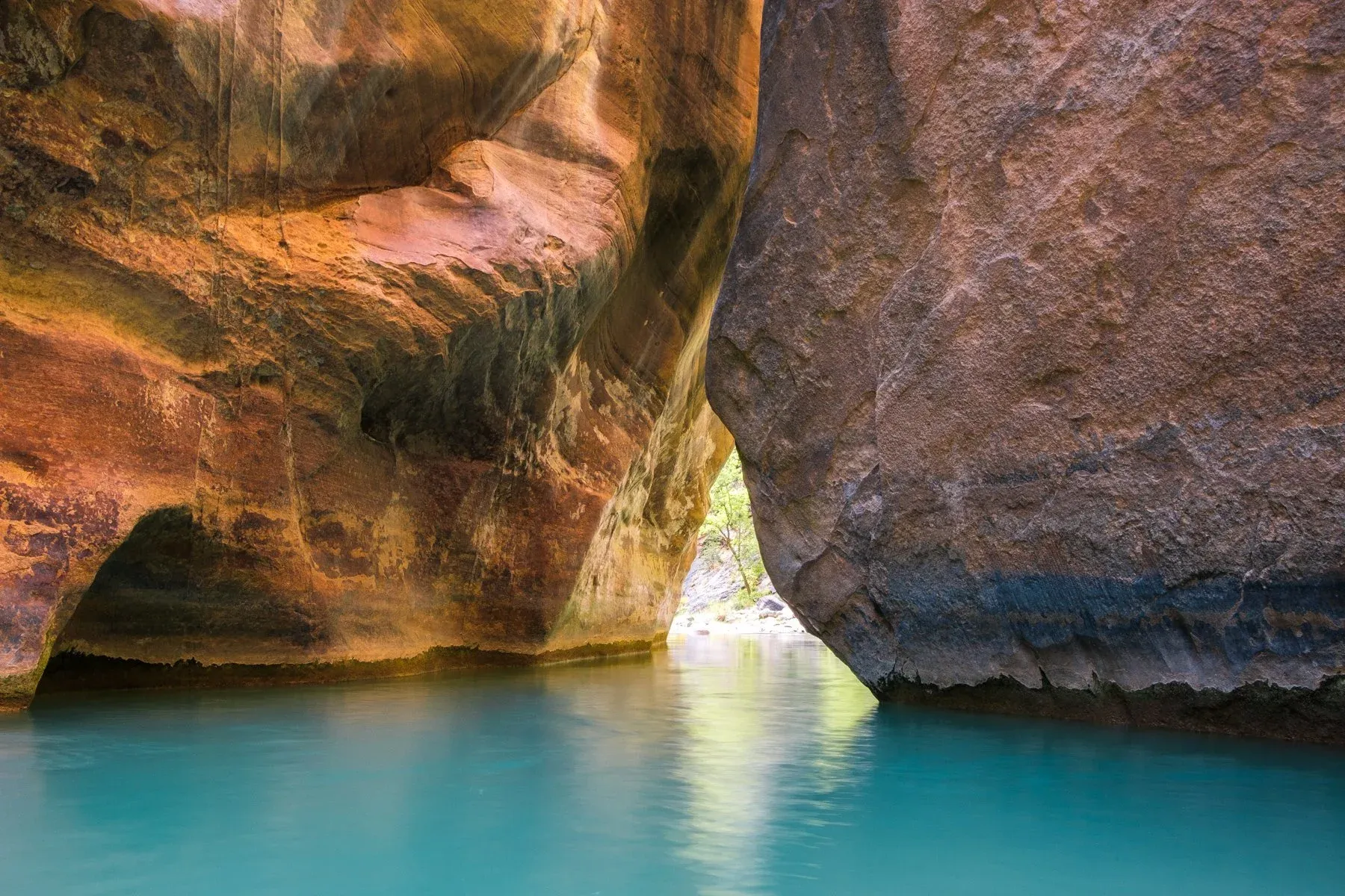 things to do in zion national park​