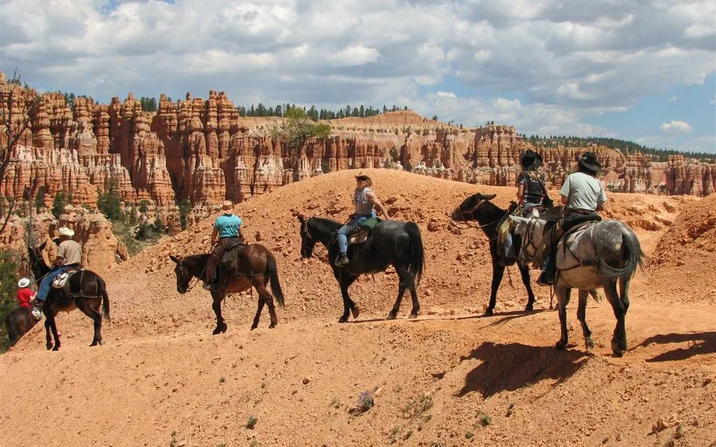 things to do in zion national park​