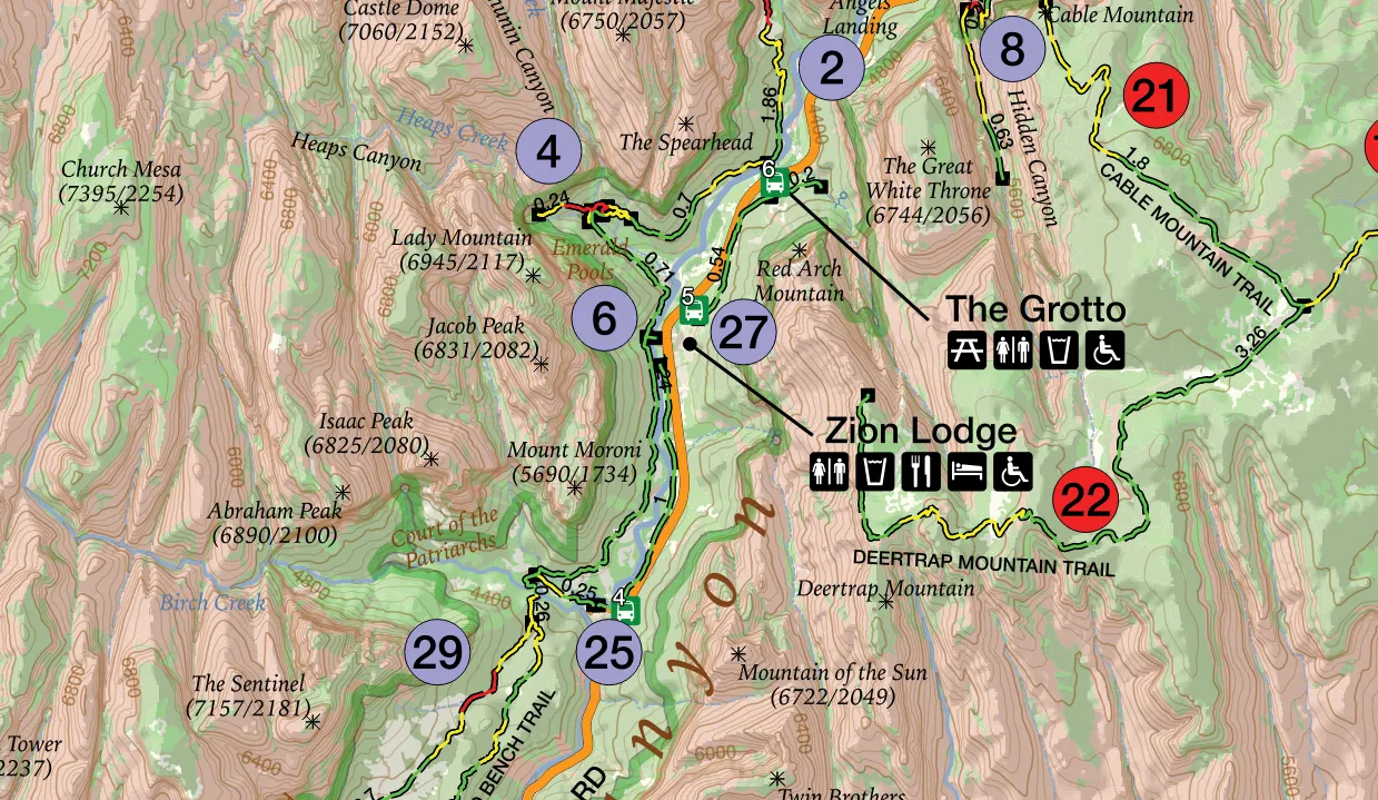 things to do in zion national park​