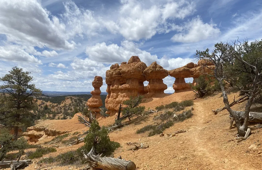 zion national park to bryce canyon