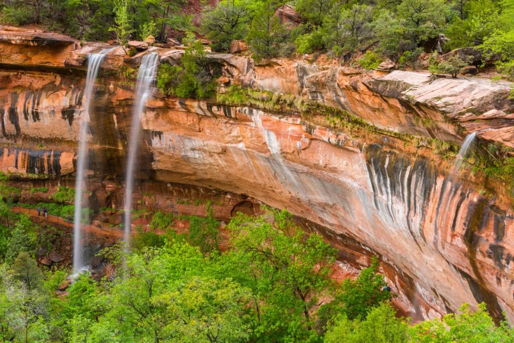 zion national park winter