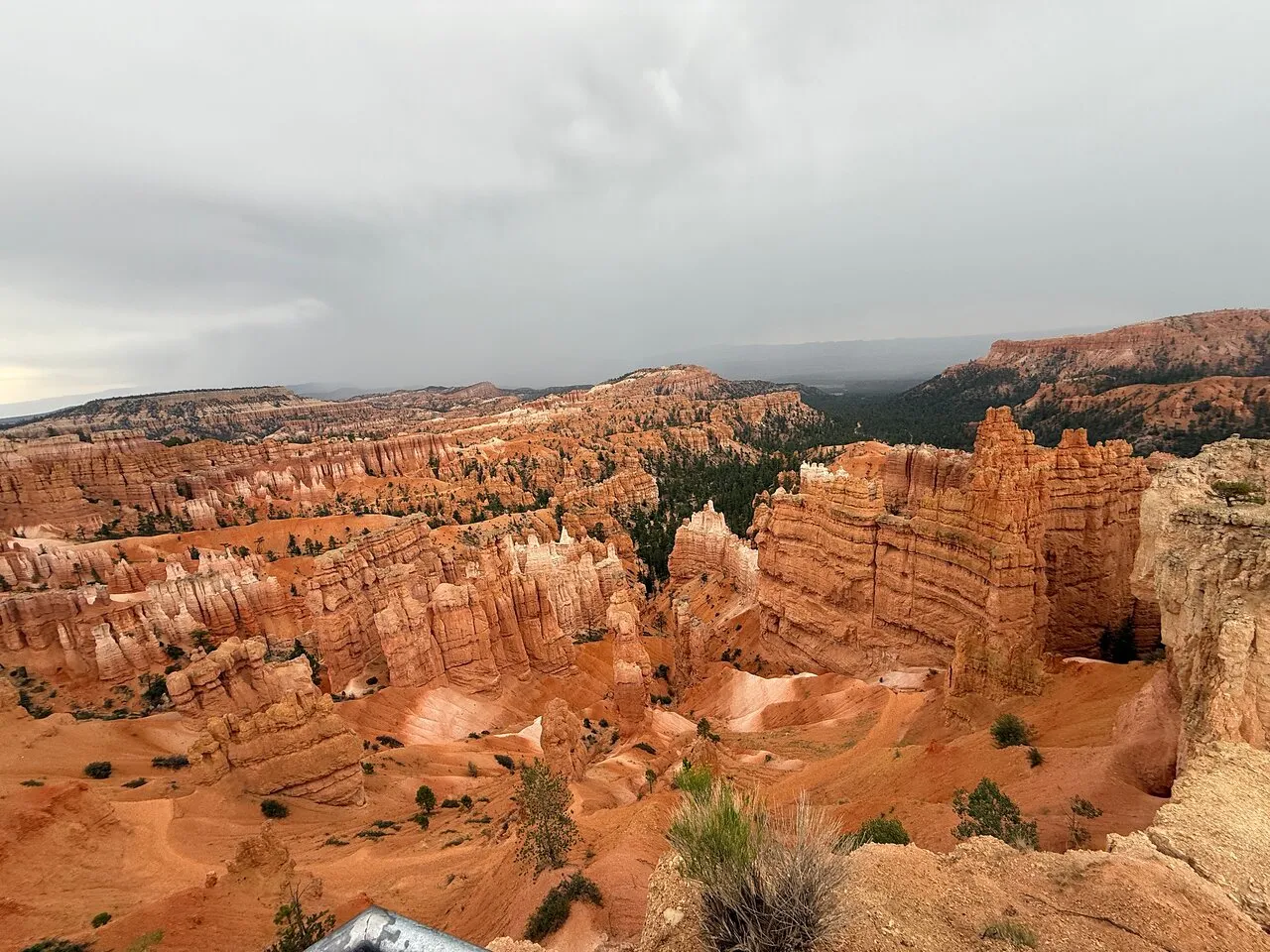 private tours of zion national park