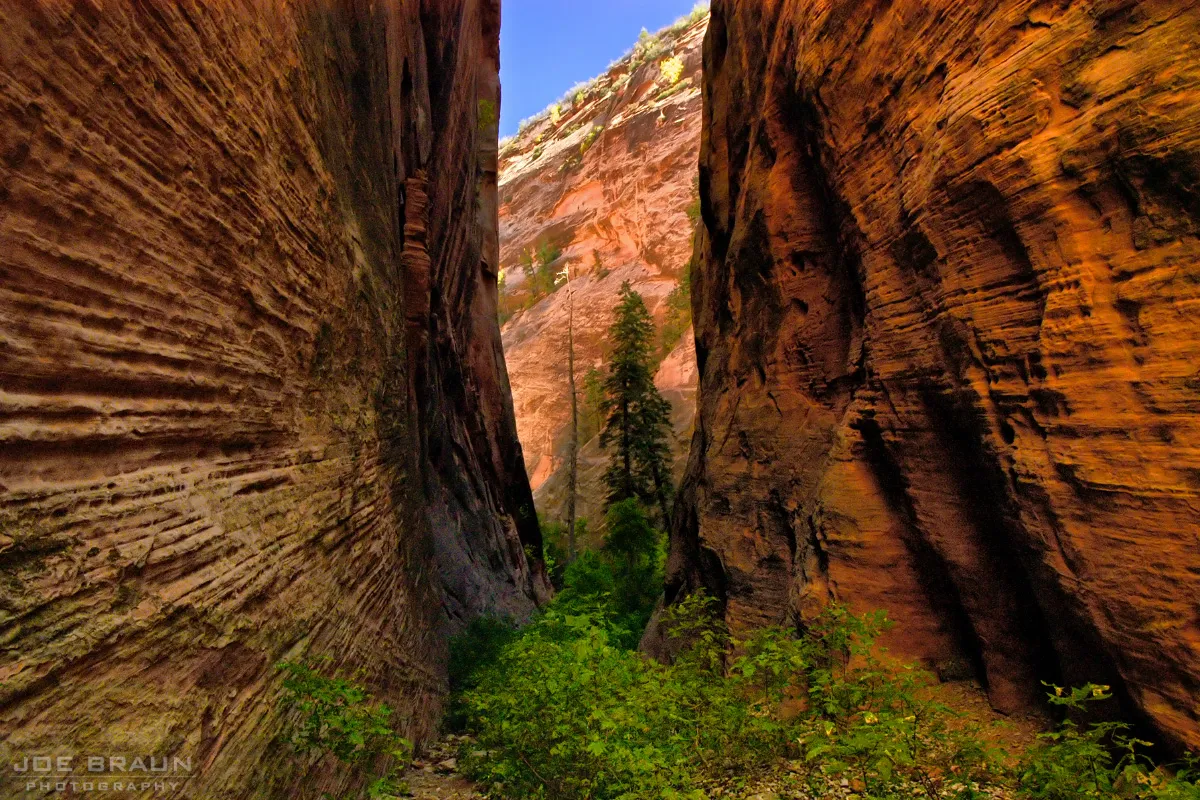 zion national park caves