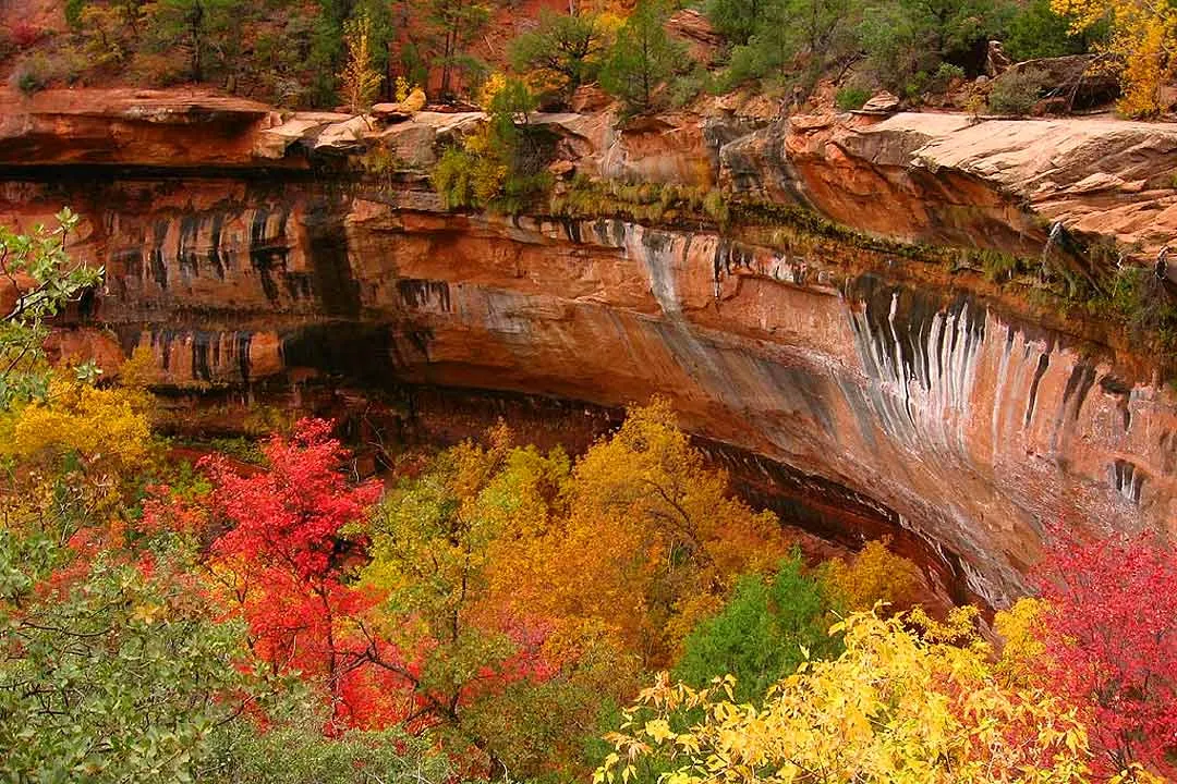 emerald pool zion national park​