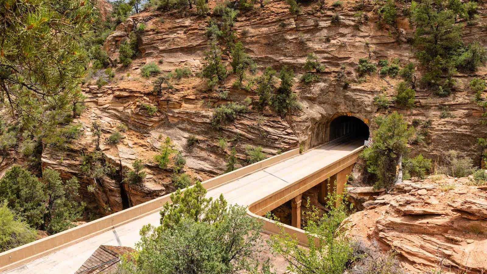 zion national park tunnel​