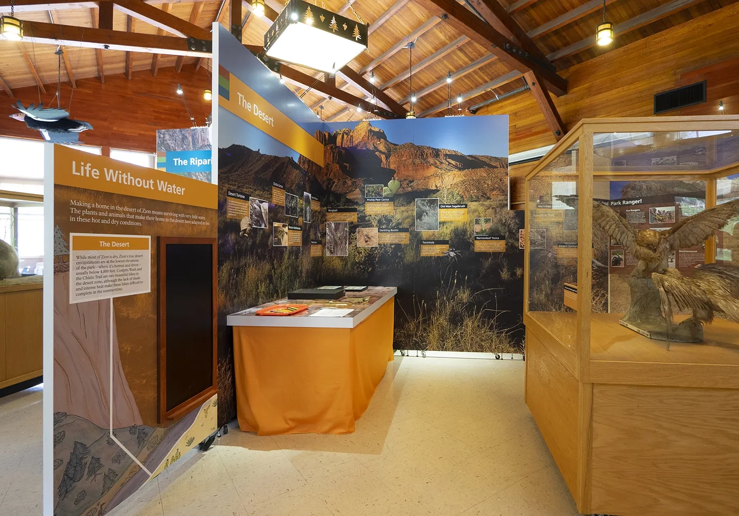zion national park visitor center​