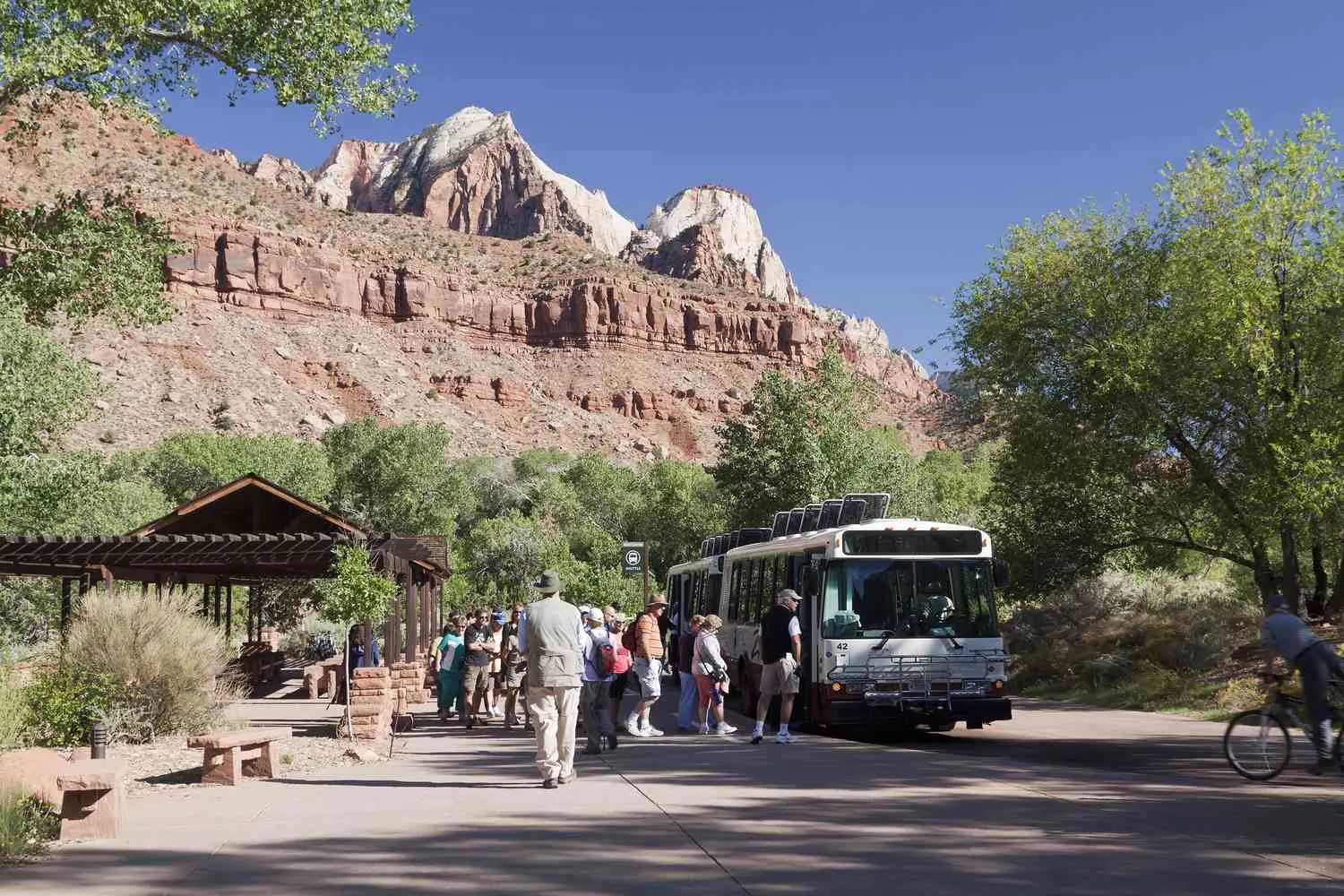 zion national park​ summer