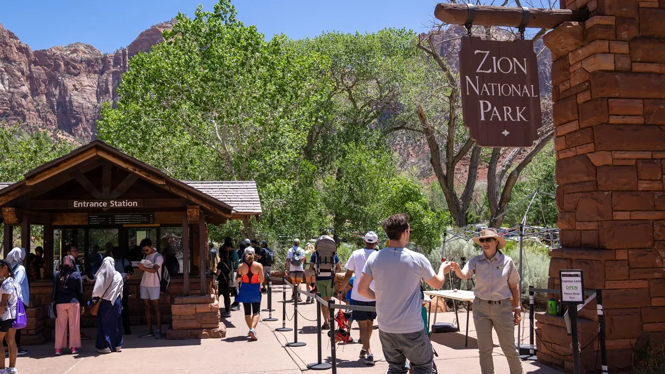 zion national park​ summer