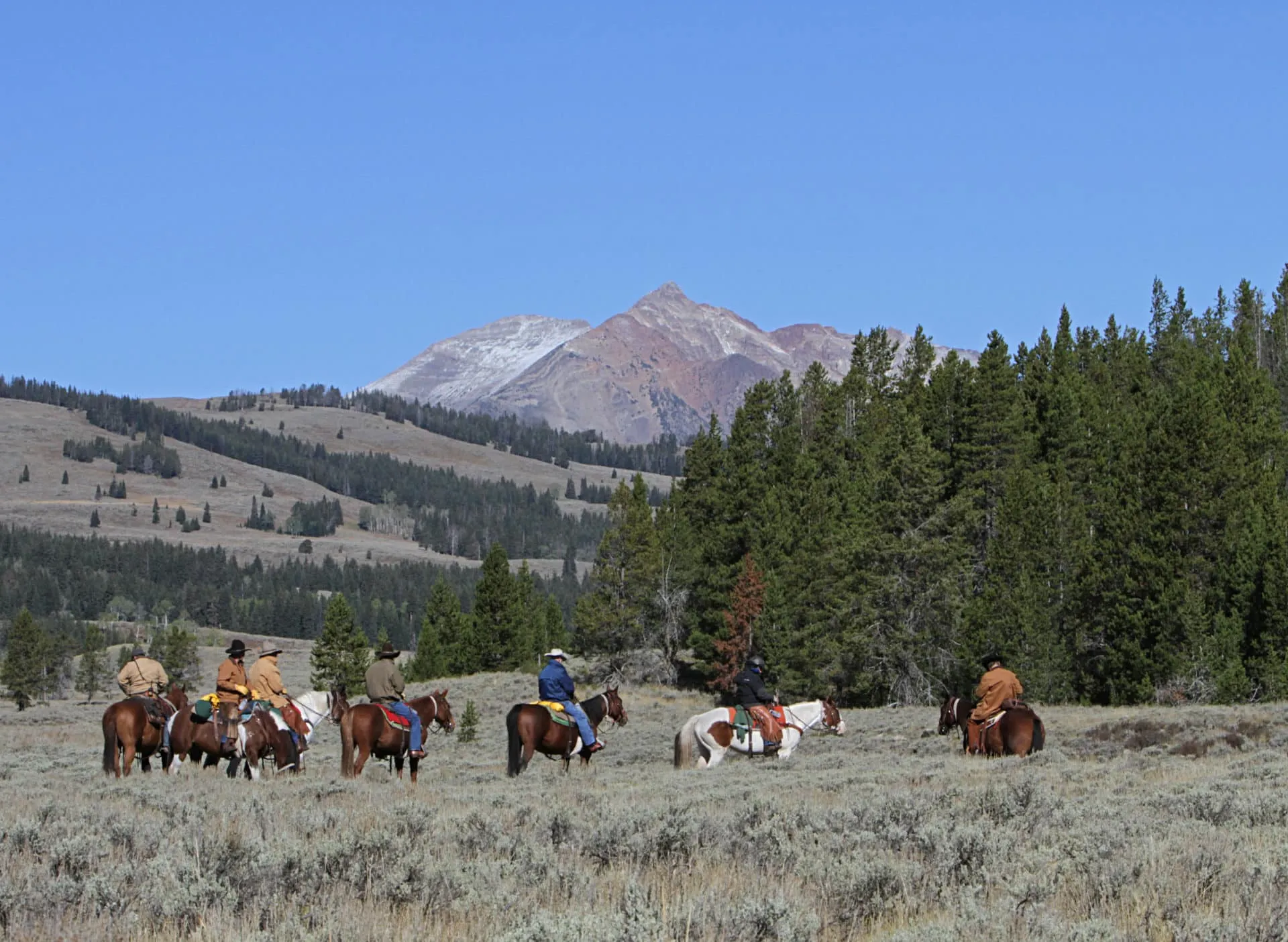 post-Horseback Riding In Yellowstone National Park: Unforgettable Experience