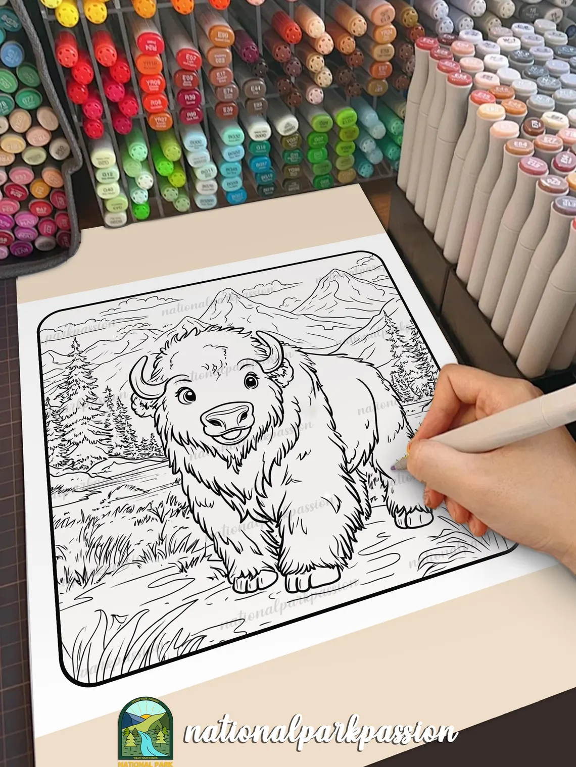 post-National Park Coloring Book: A Must-Have for Family Camping Adventures