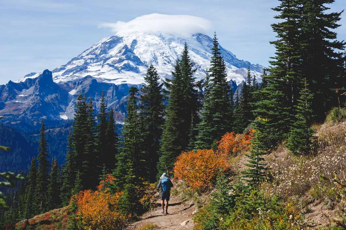 post-A Day Hiking At Mount Rainier National Park: My Journey through Breathtaking Trails and Glaciers