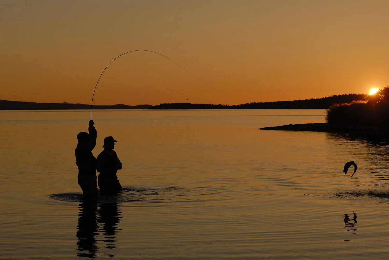 post-Best Guided To Acadia National Park Fishing: Experience Review