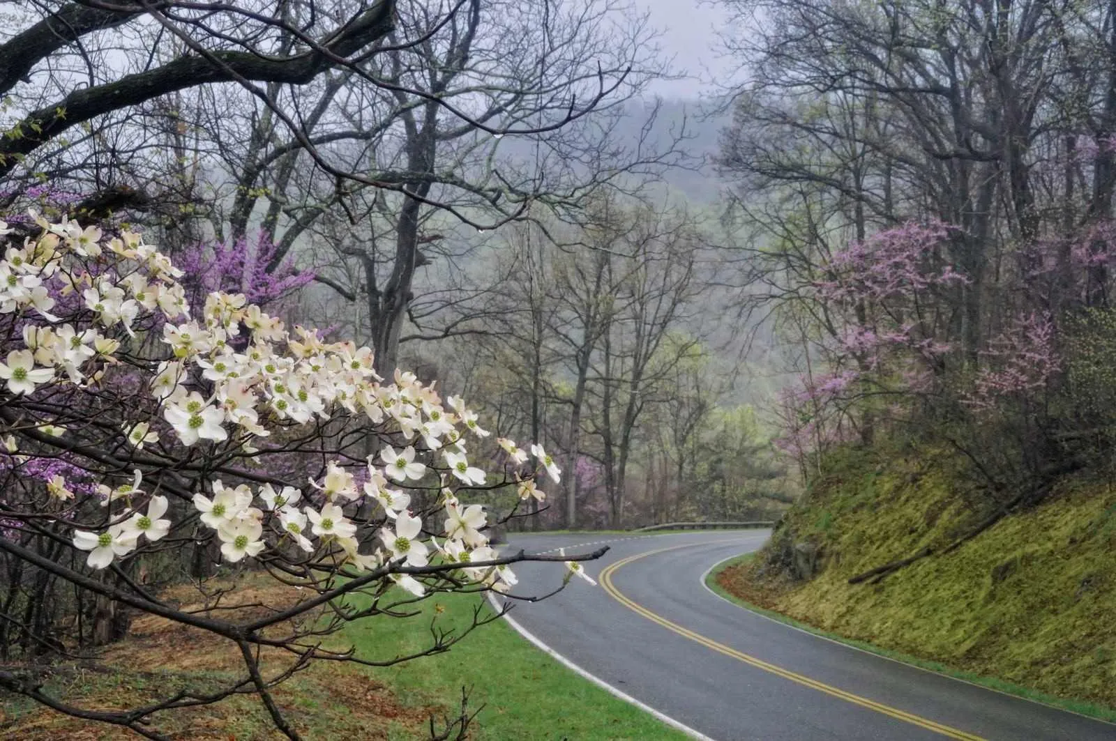 post-Best Time To Visit Shenandoah National Park: Ultimate Guide
