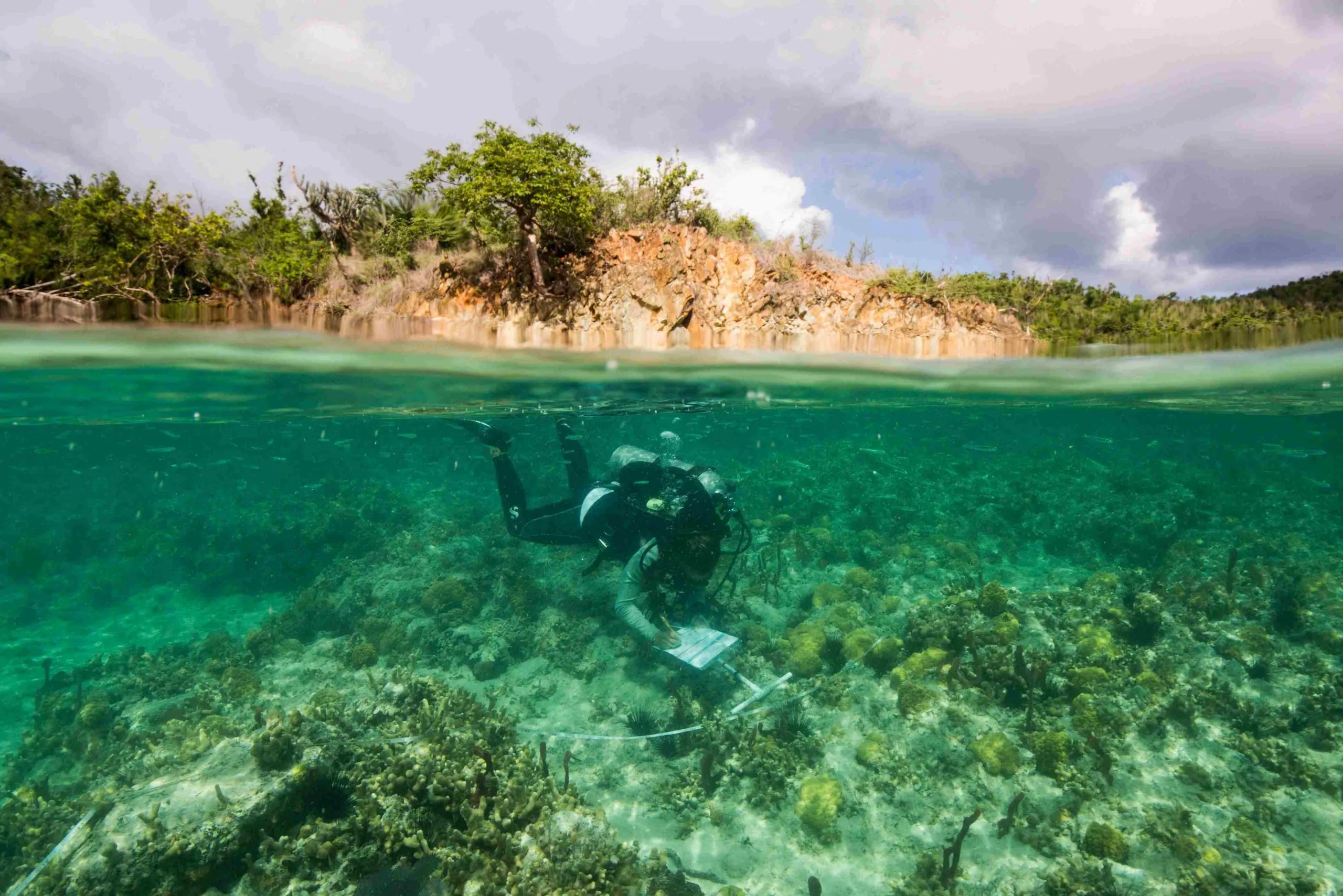 post-Biscayne National Park Coral Reefs: Florida’s Only National Park