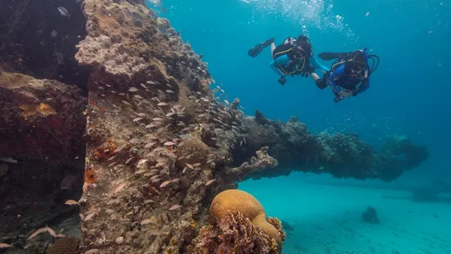 post-Biscayne’s Secret: Explore a Biscayne National Park Diving