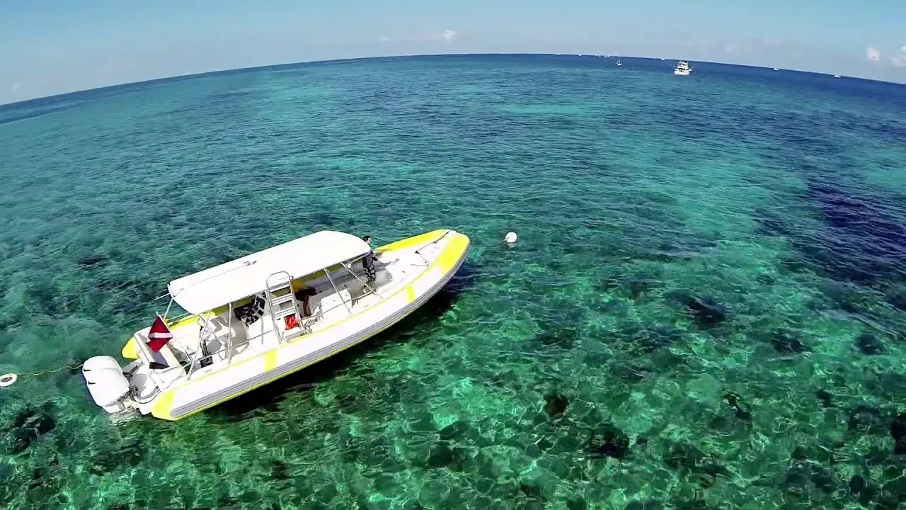 post-Best Biscayne National Park Tours: Reviews Detailed Experience
